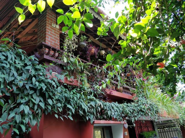 Appartamento The Four Seasons Kalpetta Esterno foto